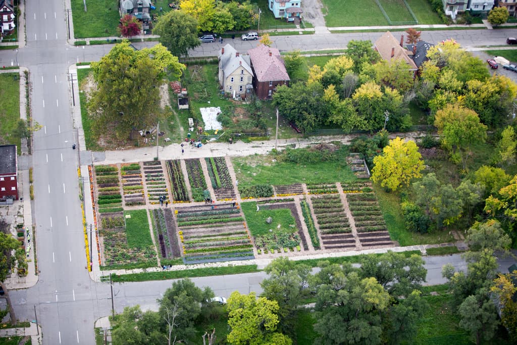 Community members working in urban garden